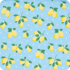 Lemon Meringue Can Coolie